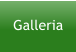 Galleria